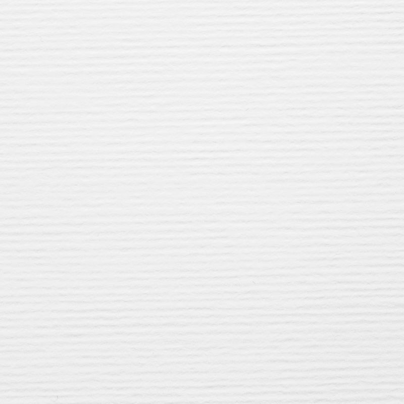 Nettuno blanco ártico