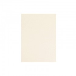 Tintoretto Zenzero