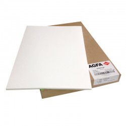 Papel Agfa Synaps XM