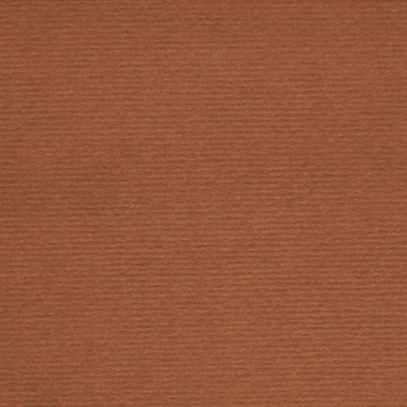 Nettuno tabaco