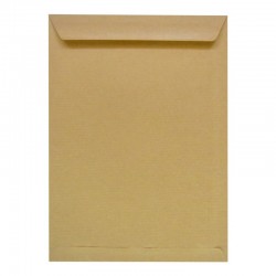Bolsa kraft