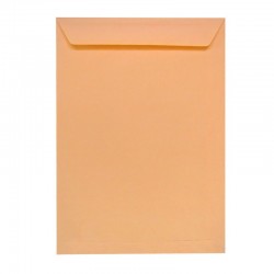 Bolsa chamoux