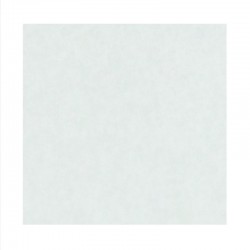 Papel Pergamenata blanco
