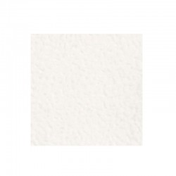 Conqueror Contour blanco común