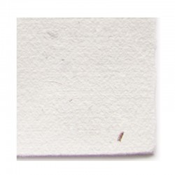 Papel Natura algas 21,5x30,5 cms.