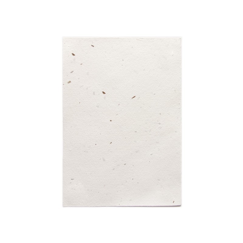 Papel Natura algas 21,5x30,5 cms.
