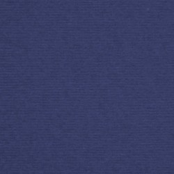 Nettuno azul navy